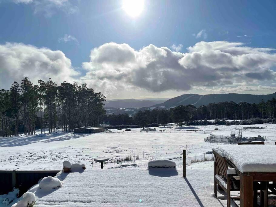 Amaroo With A View Set On A 50 Acre Hobby Farm Lejlighed Collinsvale Eksteriør billede
