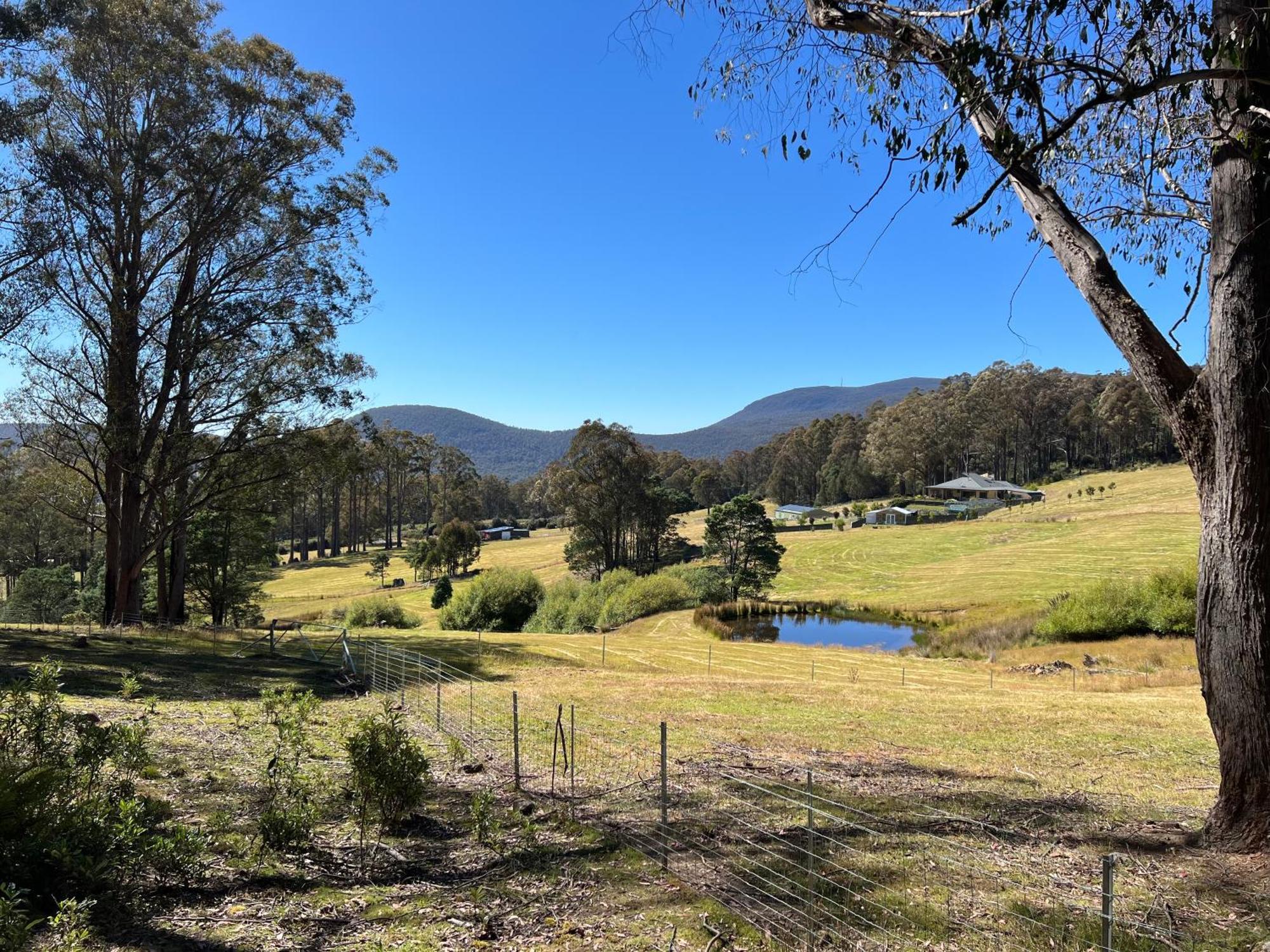 Amaroo With A View Set On A 50 Acre Hobby Farm Lejlighed Collinsvale Eksteriør billede